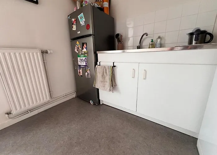 Appartamento Entier Avec 2 Terrasses Le Mans